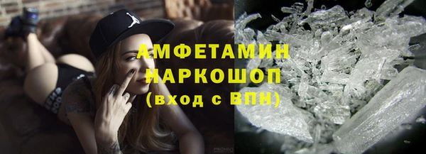 индика Снежногорск