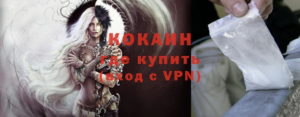 гидра Слюдянка