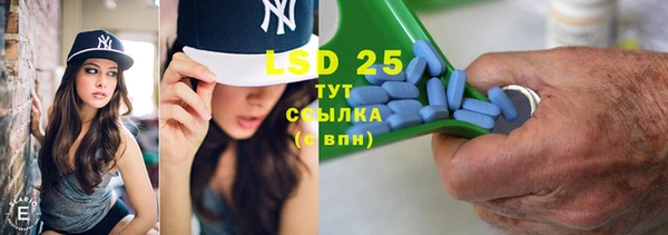 гидра Слюдянка