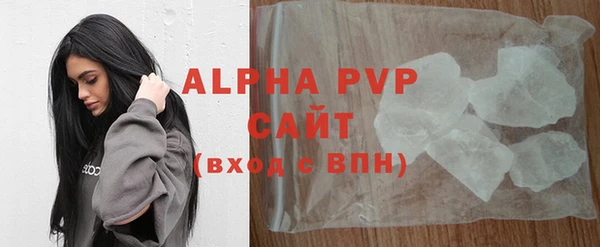 индика Снежногорск