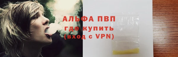 гидра Слюдянка