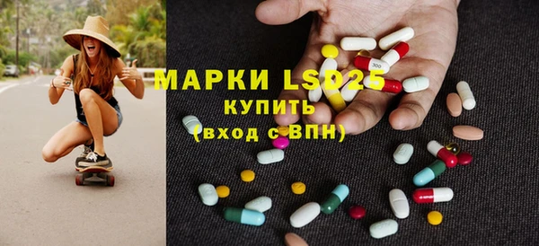 индика Снежногорск