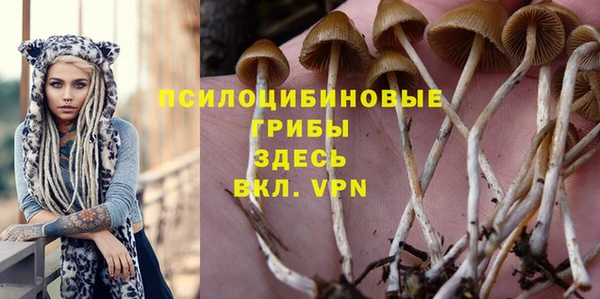 гидра Слюдянка