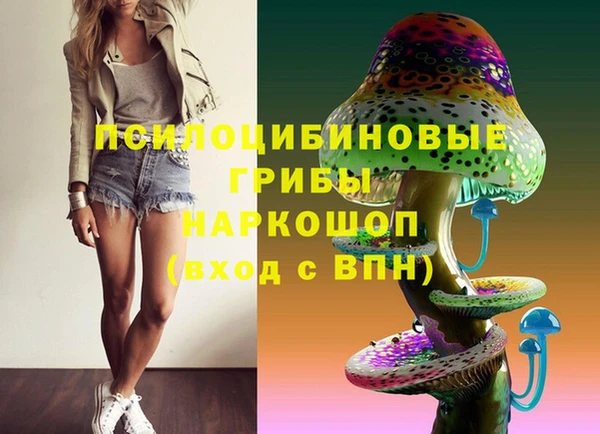 гидра Слюдянка