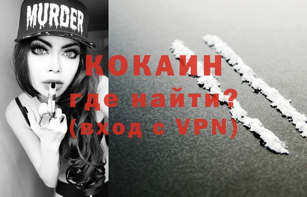 индика Снежногорск