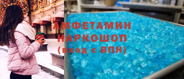 индика Снежногорск