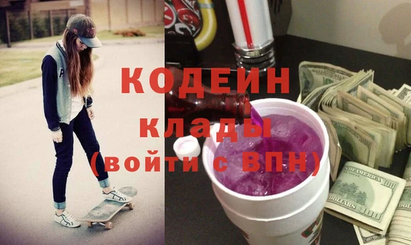 индика Снежногорск
