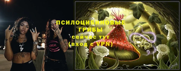 гидра Слюдянка