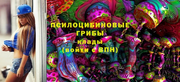индика Снежногорск
