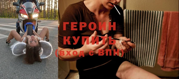 индика Снежногорск