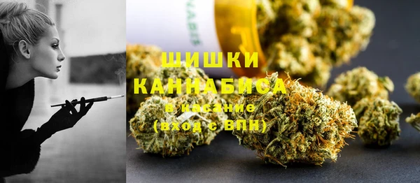 гидра Слюдянка