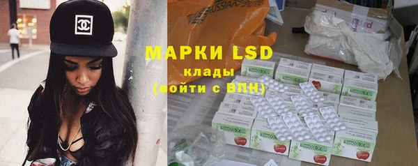 индика Снежногорск