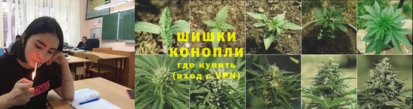 индика Снежногорск