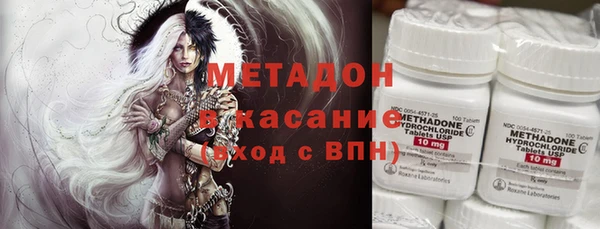 индика Снежногорск