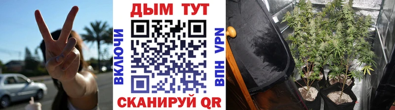 Марихуана MAZAR  Чудово 